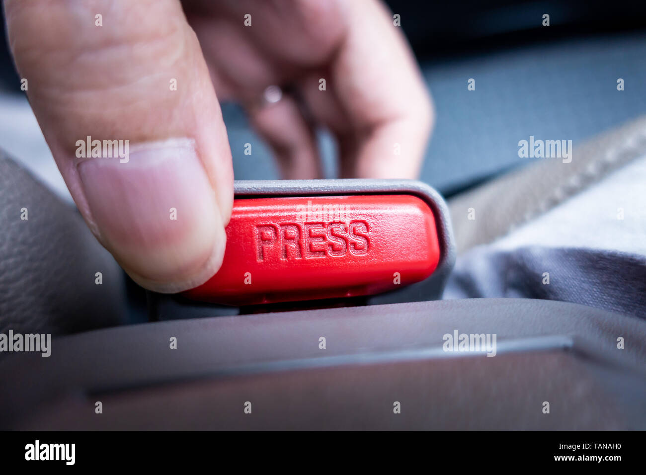 Finger pressing and releasing seat belt buckle in car Stock Photo Alamy