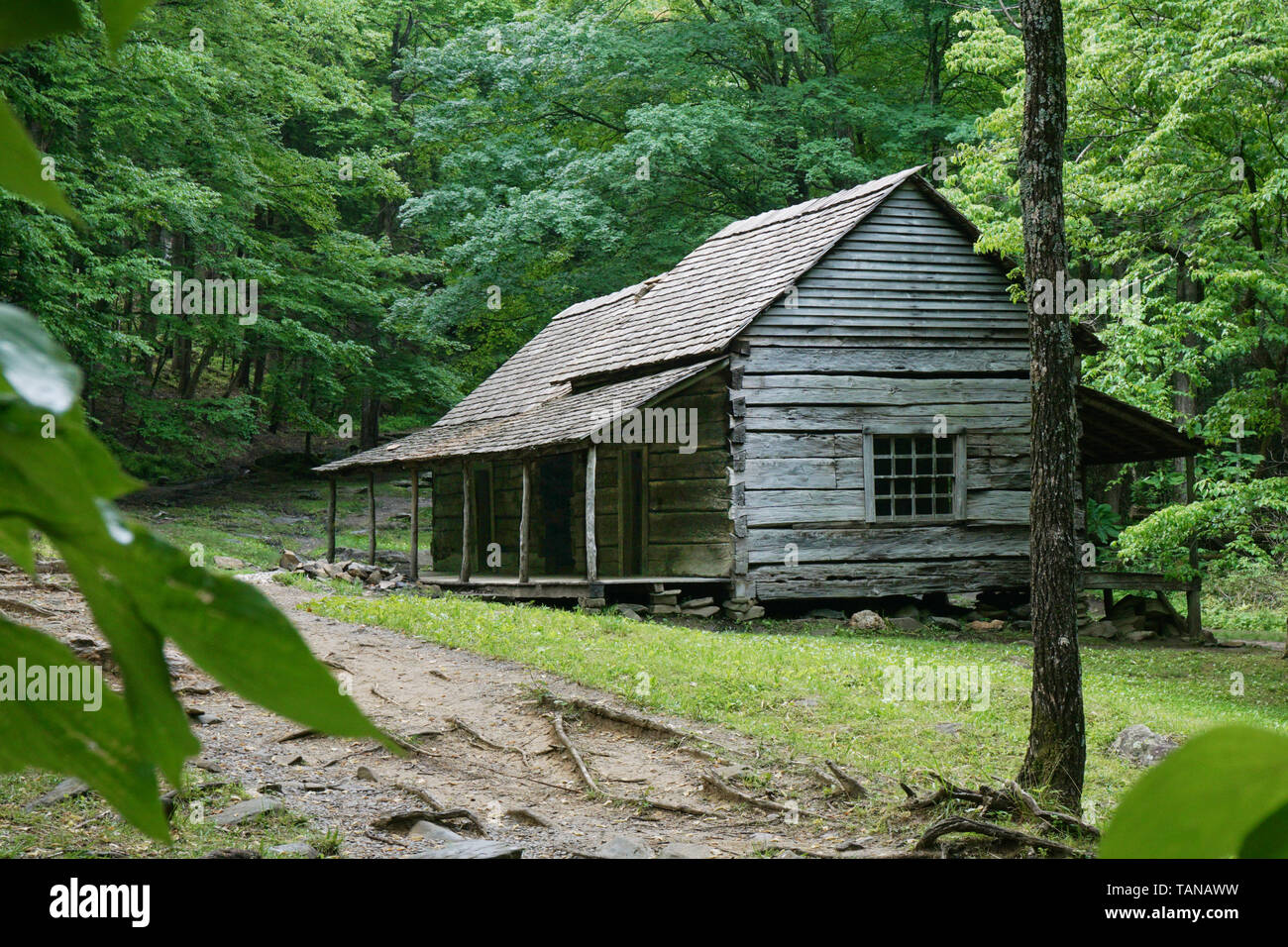 A log cabin in the Great Smoky Mountain National Park in Tennessee USA.  Noah 'Bud' Ogle cabin built circa 1890. Stock Photo