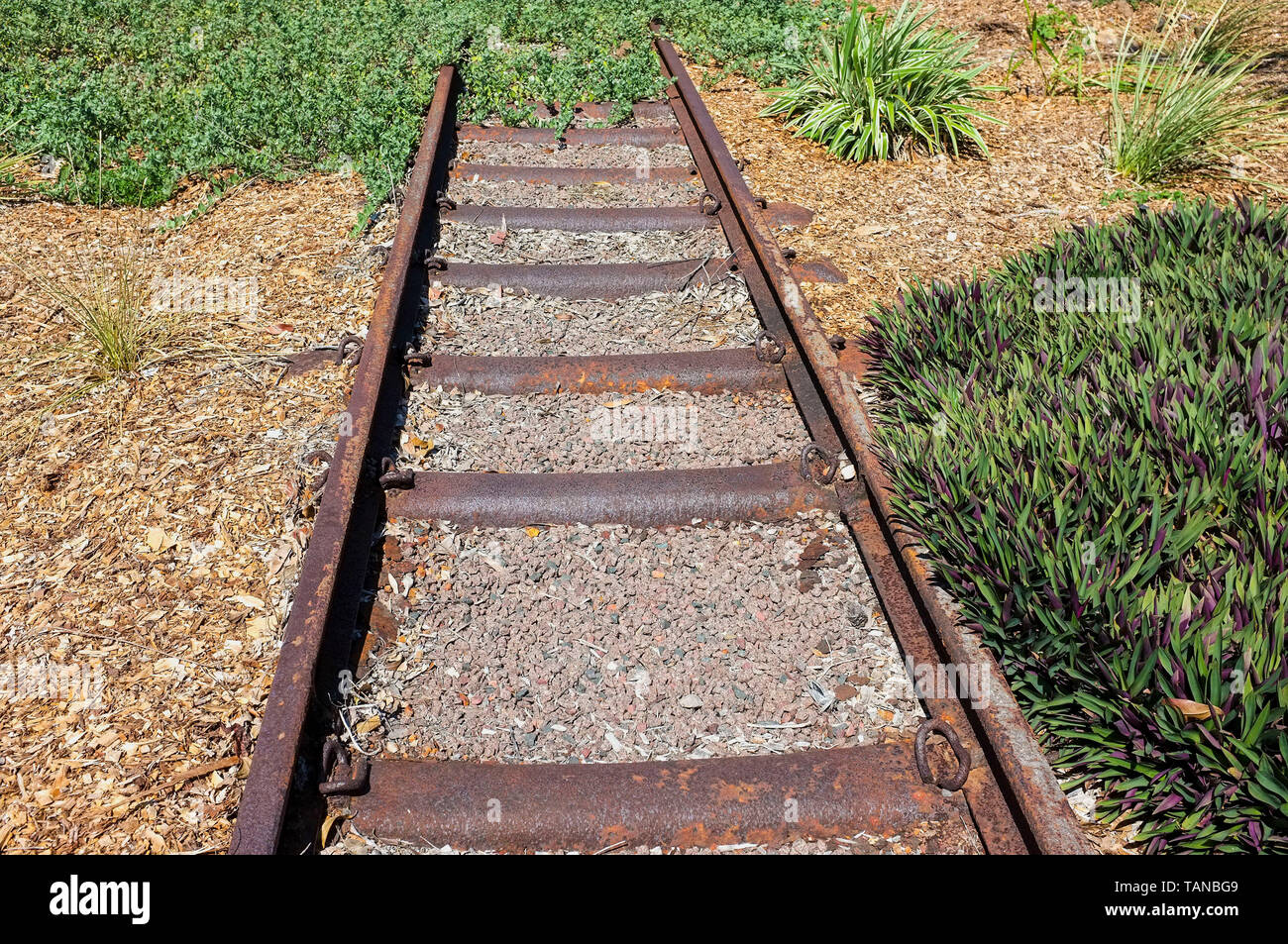 Abandoned train tracks Stock Photo