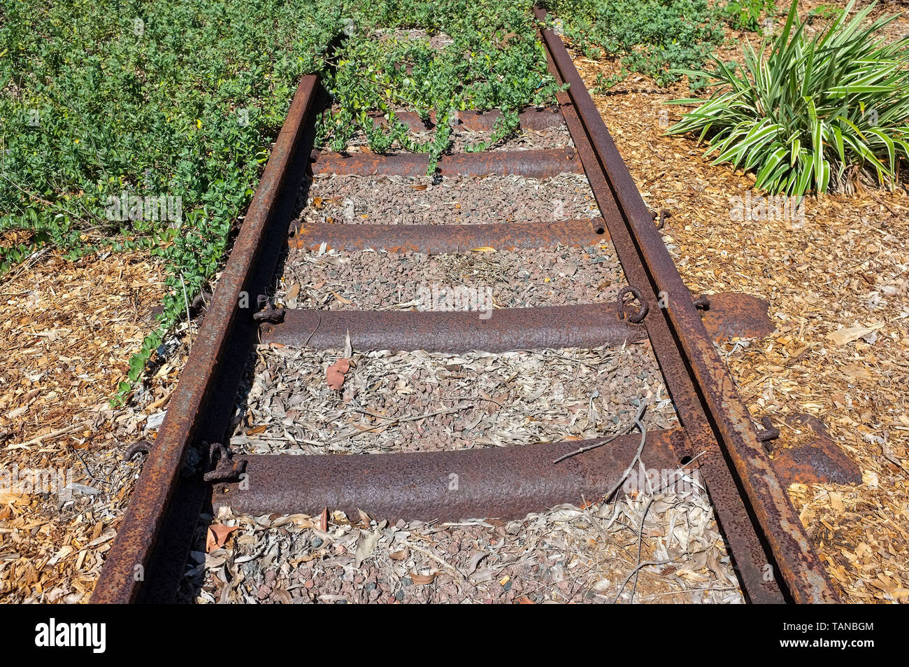 Abandoned train tracks Stock Photo