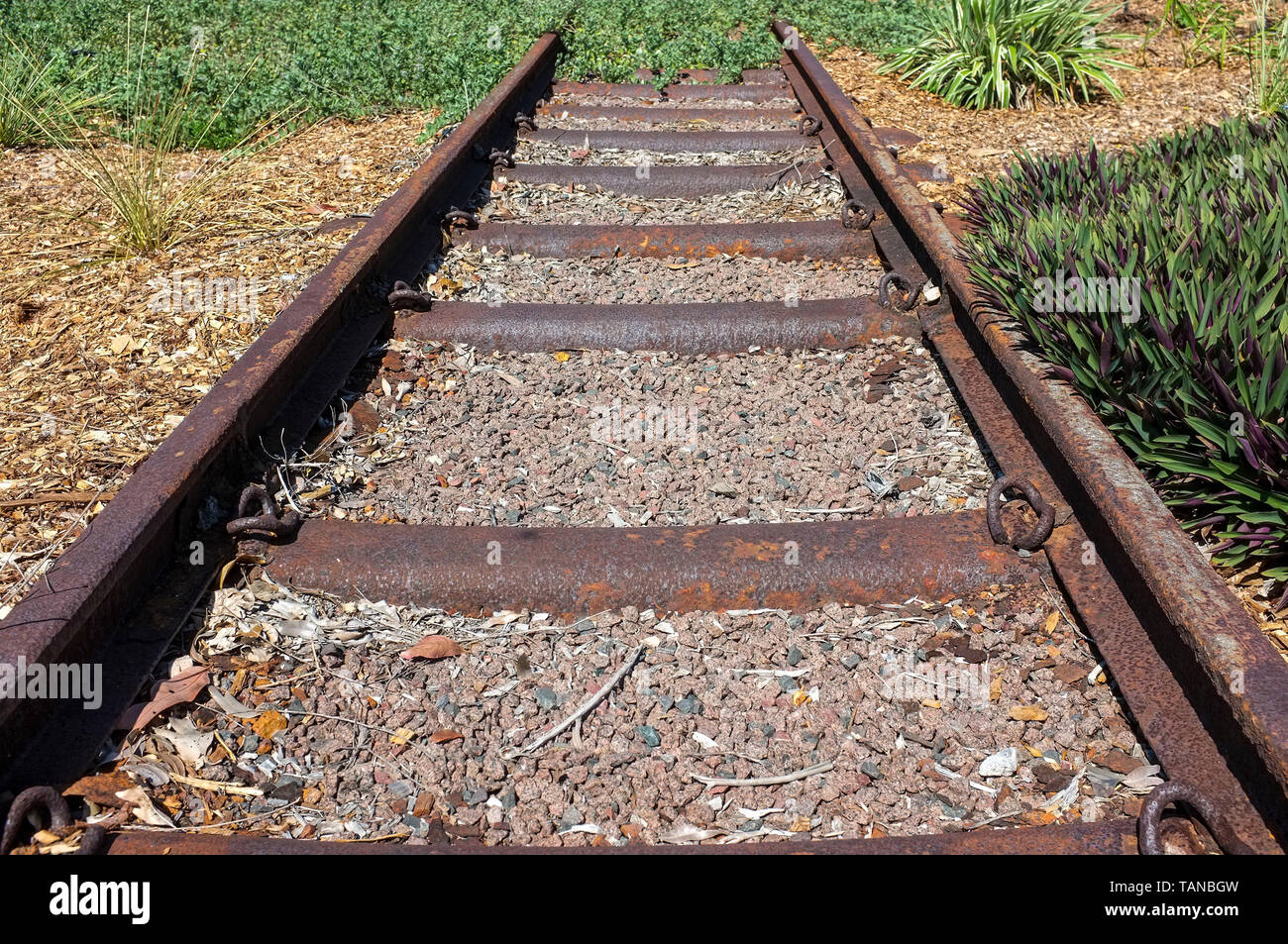 Abandoned train tracks Stock Photo