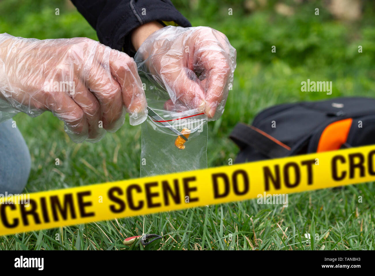 Police detective collecting evidence at crime scene Stock Photo