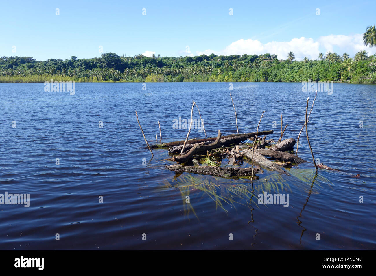 Human-made fish attracting device or fish hotel, in brackish estuary at Port Resolution, Tanna, Vanuatu. No PR Stock Photo