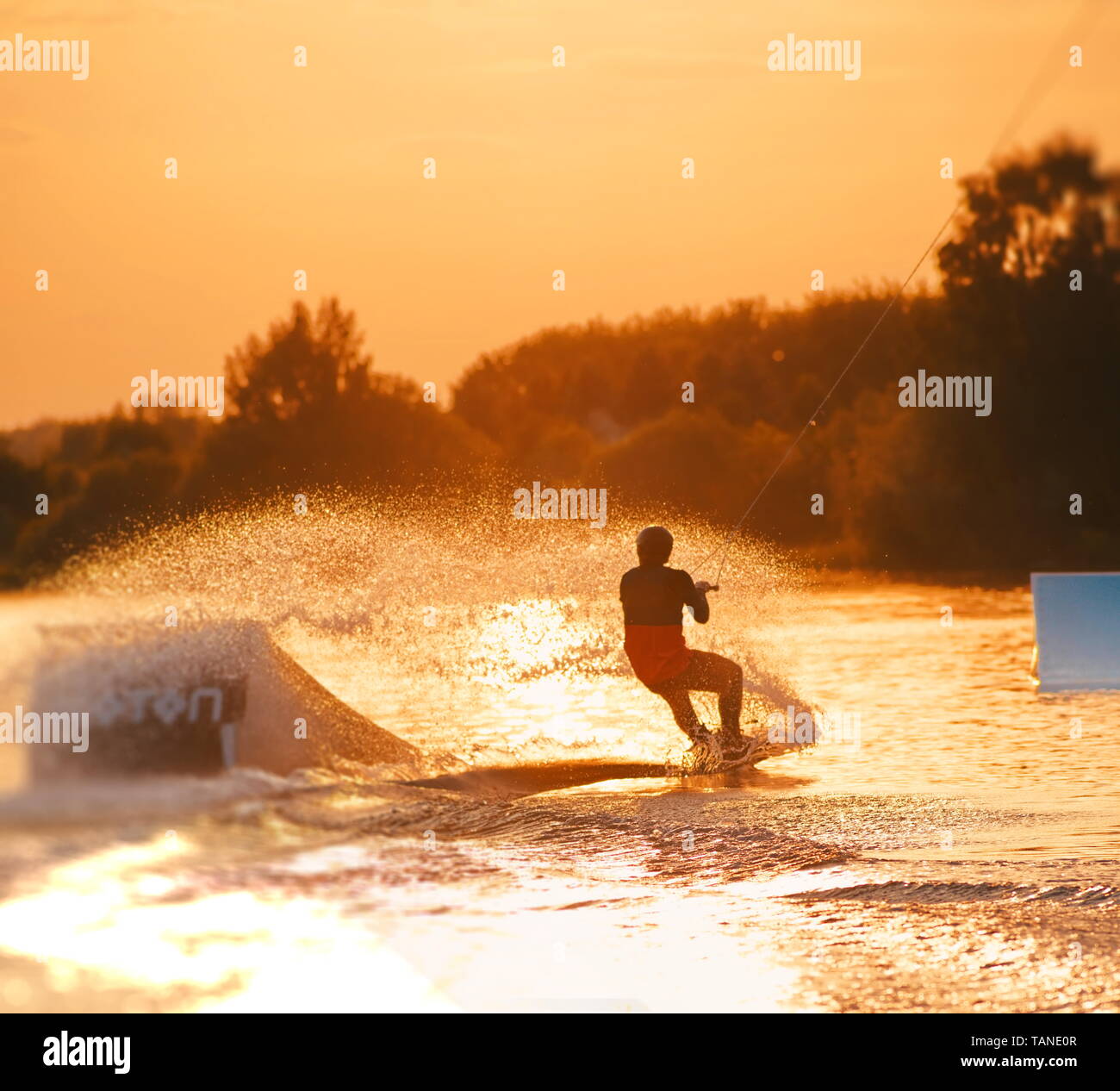 Surfer wakeboarding an jumping Ollie at golden sunset. Skilled wakeboarder doing Ollie jump, splashing water drops into the camera. Young man riding c Stock Photo