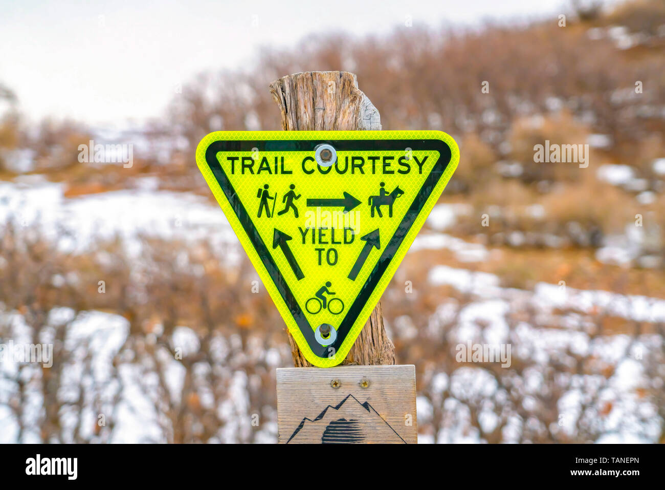 Inverted triangle Trail Courtesy Yield To sign with graphics and arrows. Trees on a snow covered landscape in winter can be seen in the blurred backgr Stock Photo