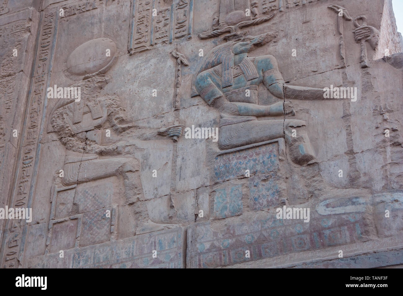 Bas relief of Sobek and Horus in the Temple of Kom Ombo Stock Photo