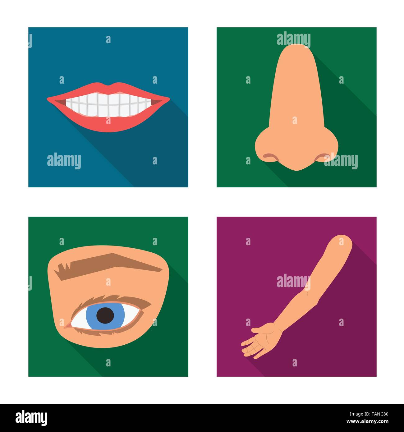 Isolated object of body and part symbol. Collection of body and anatomy ...