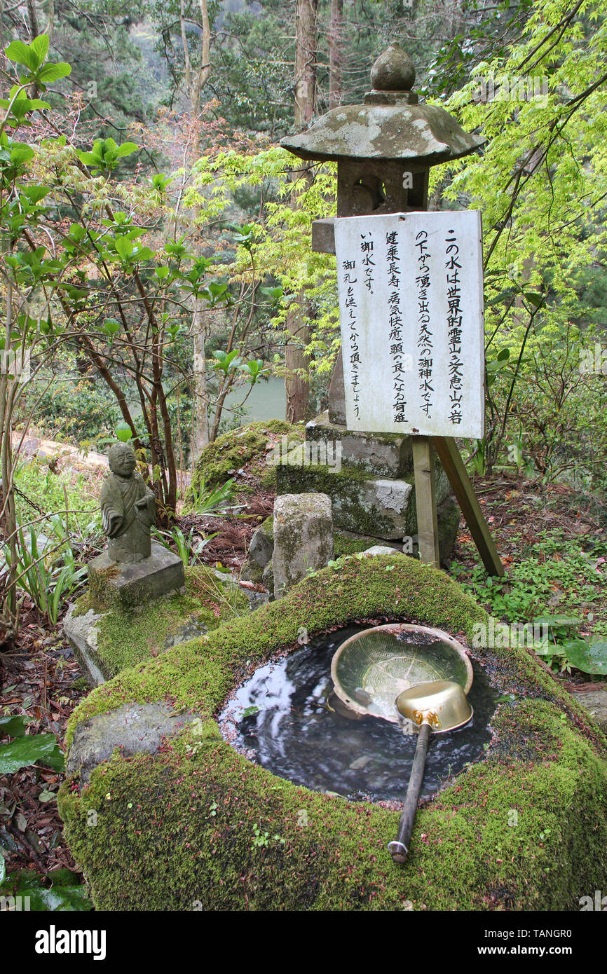 Reiko-ji temple - Tachikue gorge - Japan Stock Photo