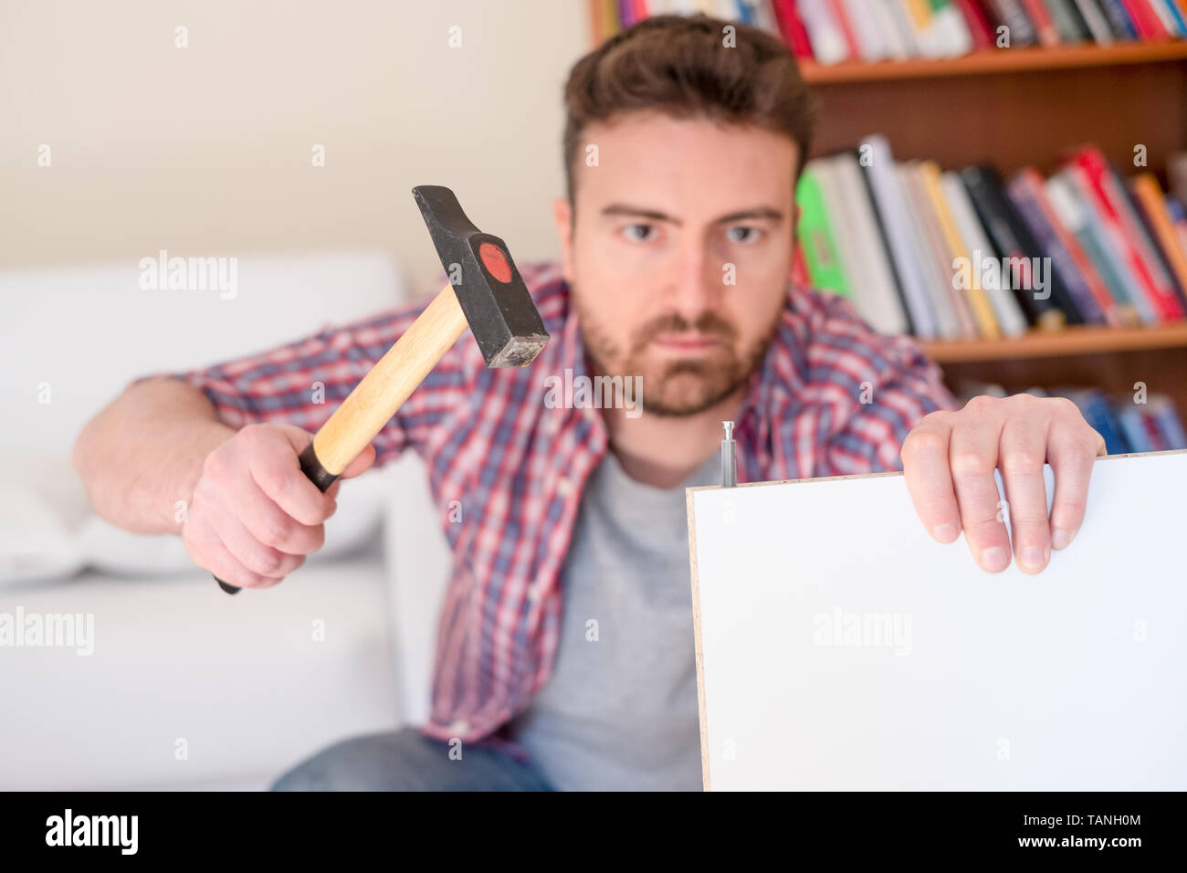 Installing kitchen furniture hires stock photography and images Alamy