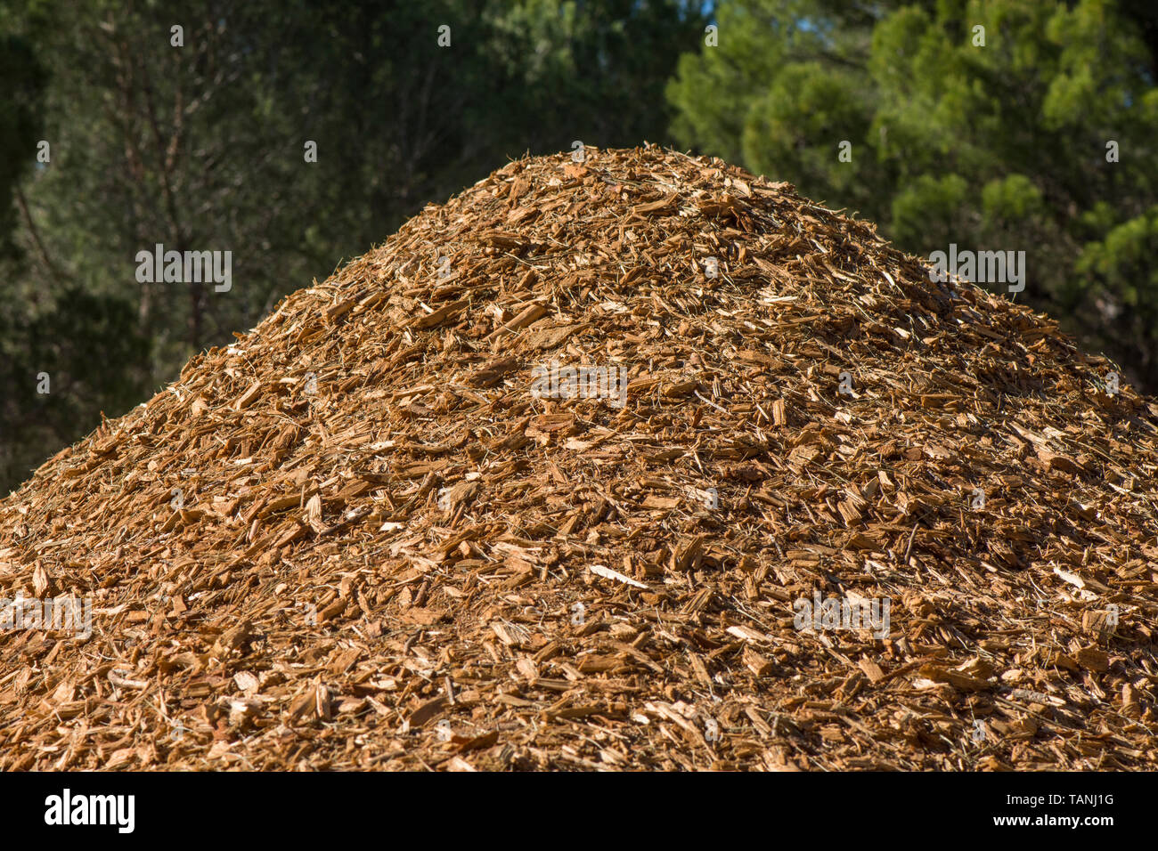 Woodchip pile hires stock photography and images Alamy