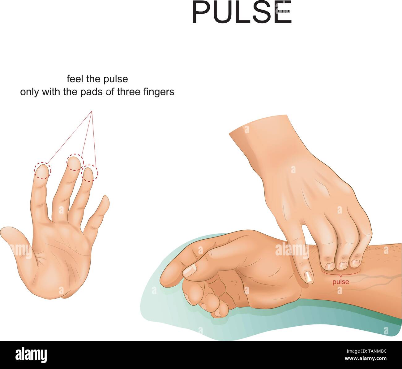 vector illustration of correct pulse palpation Stock Vector