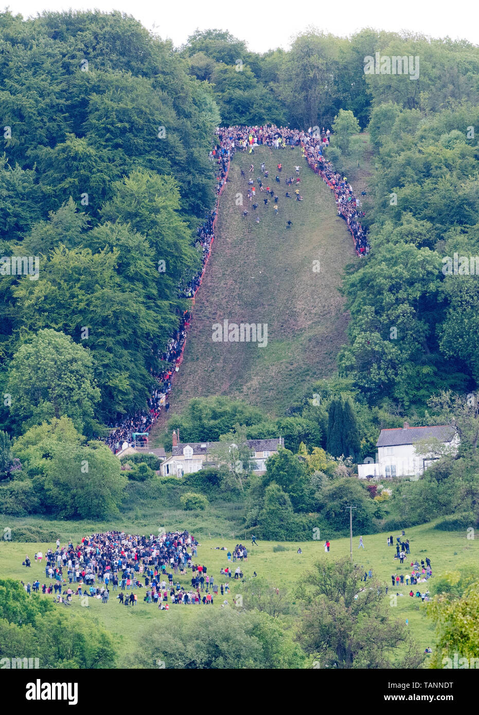 Participants take park in the annual cheese rolling races down Coopers