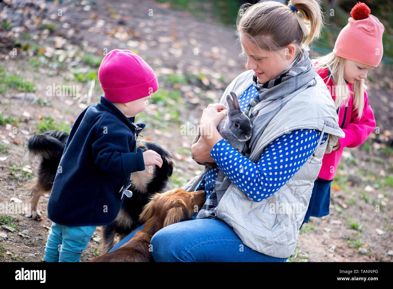 mom-plays-with-her-children-and-feeds-pets-in-the-farm-yard-stock-photo