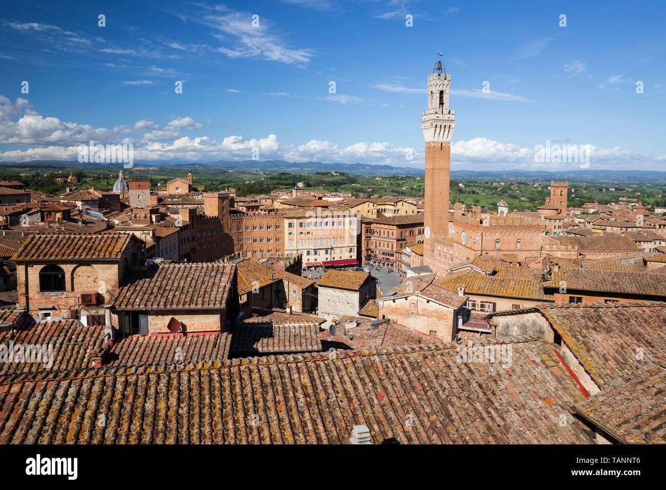 View of the Pubblico Palace tower and rooftops from the Panorama dal Facciatone of the Duomo di Siena, Siena, Siena Province, Tuscany, Italy, Europe Stock Photo