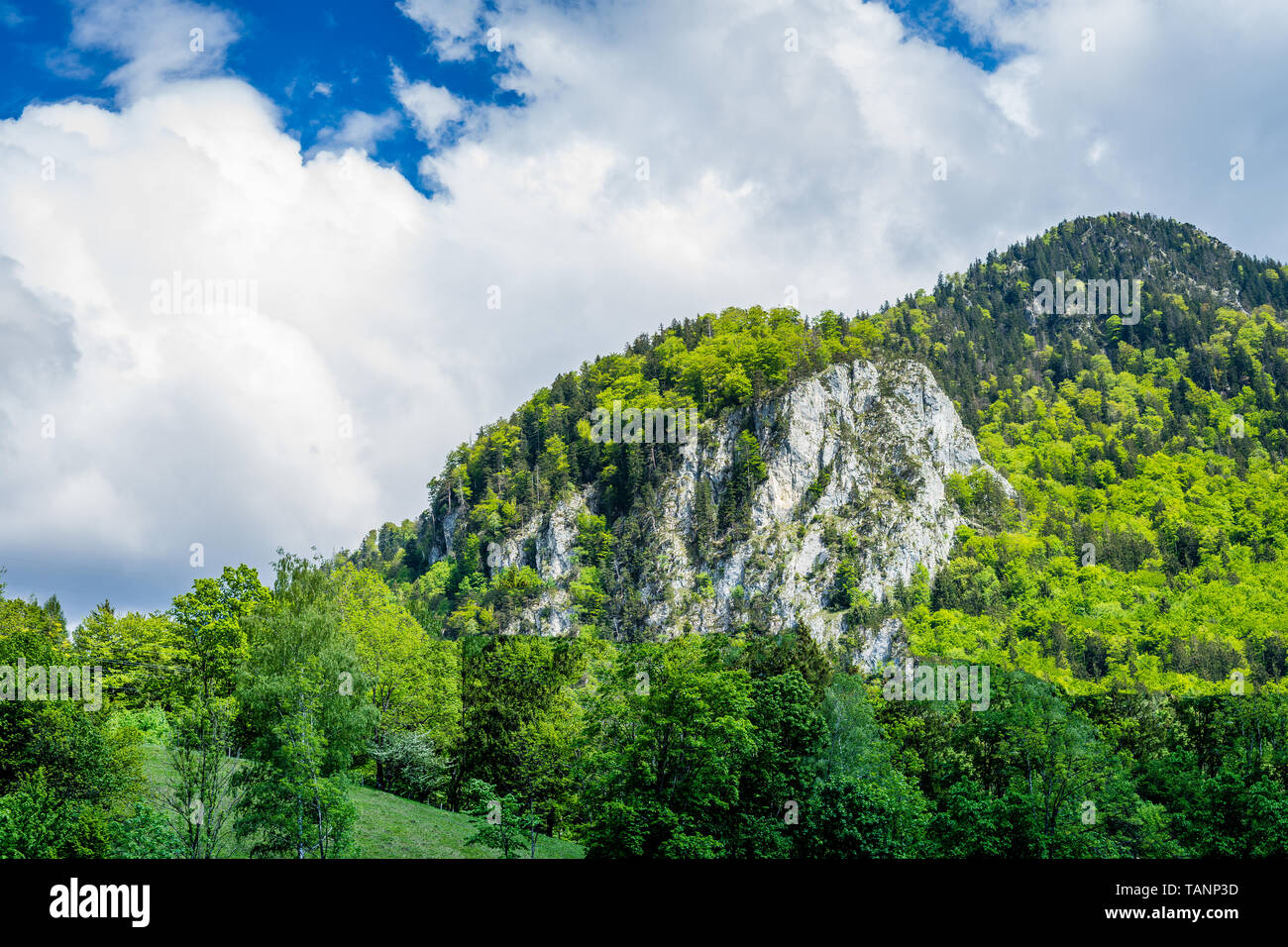 view on mountain with forest on it and cloudy sky Stock Photo
