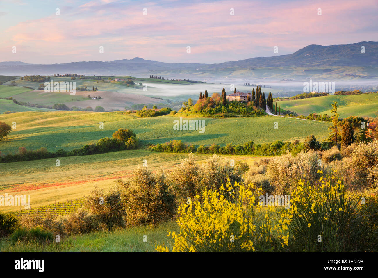 View over misty morning Tuscan landscape with traditional farmhouse and cypress trees, San Quirico d'Orcia, Siena Province, Tuscany, Italy, Europe Stock Photo