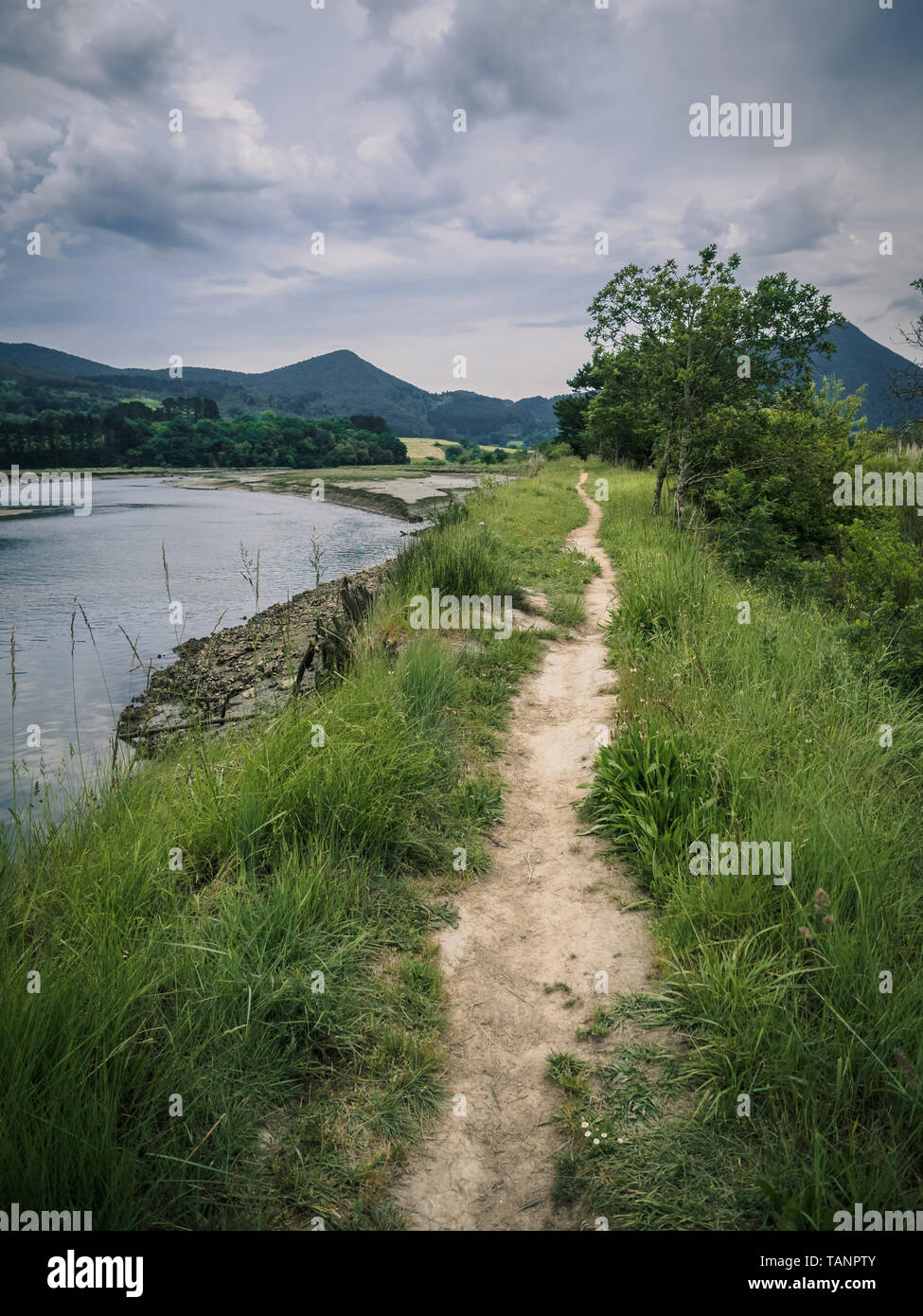 Path through the marshes in the Biosphere Reserve of Urdaibai during a cloudy day in the Basque Country, Spain Stock Photo