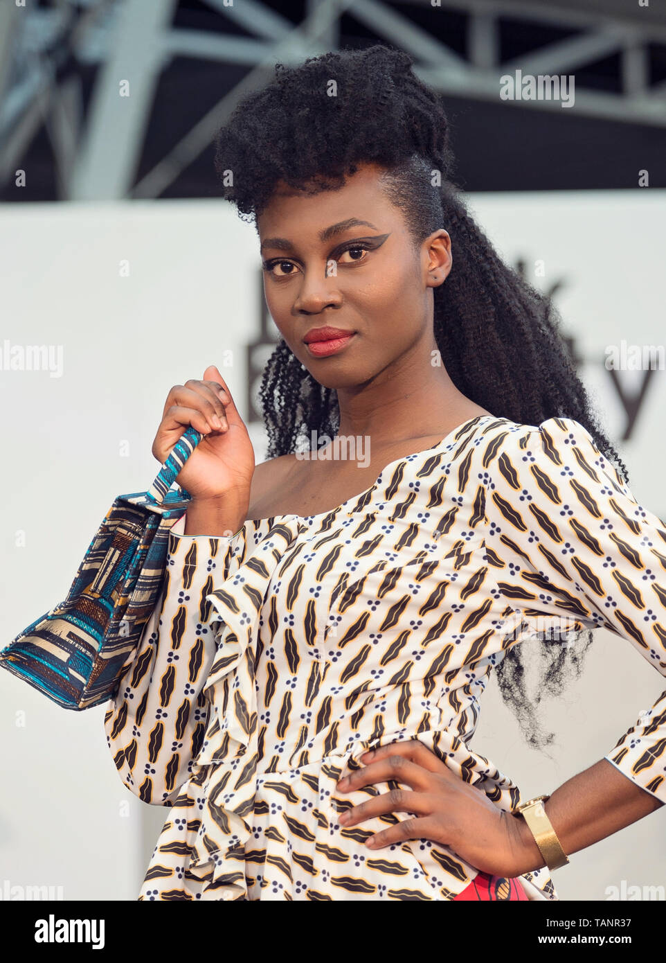 Photos taken at the 2019 Afro Hair & Beauty show live held hosted by Stacey Phipps & Scarlette Douglas on 26/27 . This is the 38th year of the event ! Stock Photo