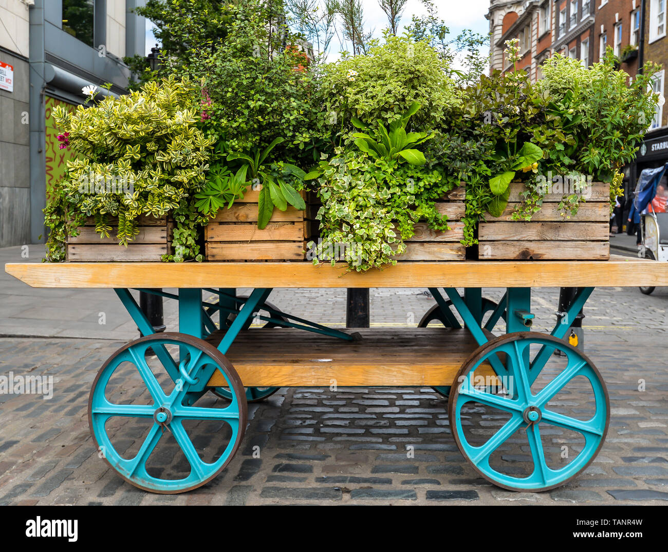 Plants on display London, UK Stock Photo Alamy