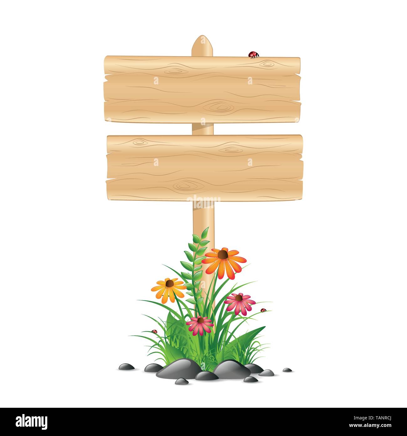 blank wooden sign board with colorful flowers and grass on white background  vector illustration EPS10 Stock Vector Image & Art - Alamy