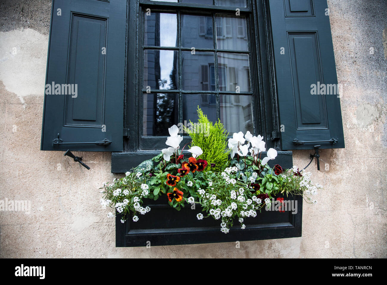 Close up black storm shutters and spring flower window box garden in Charleston, South Carolina, USA, historic district House windowsill flowers Stock Photo