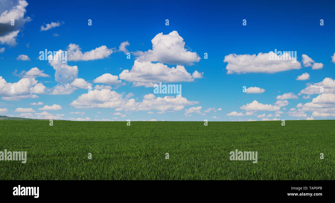 Green field and blue sky with clouds Stock Photo - Alamy