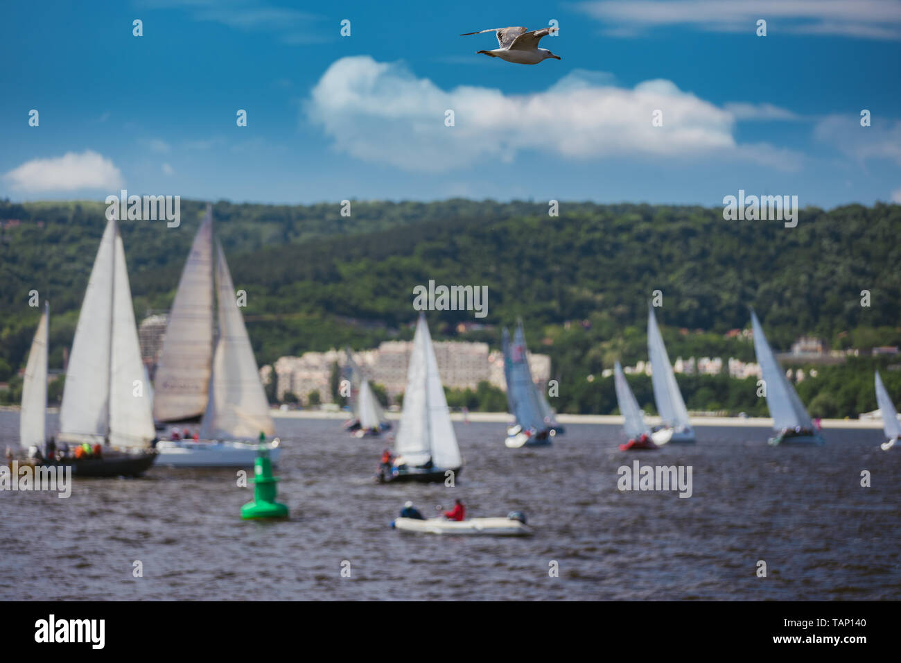 Sailboat crew boat sea team hi-res stock photography and images - Alamy