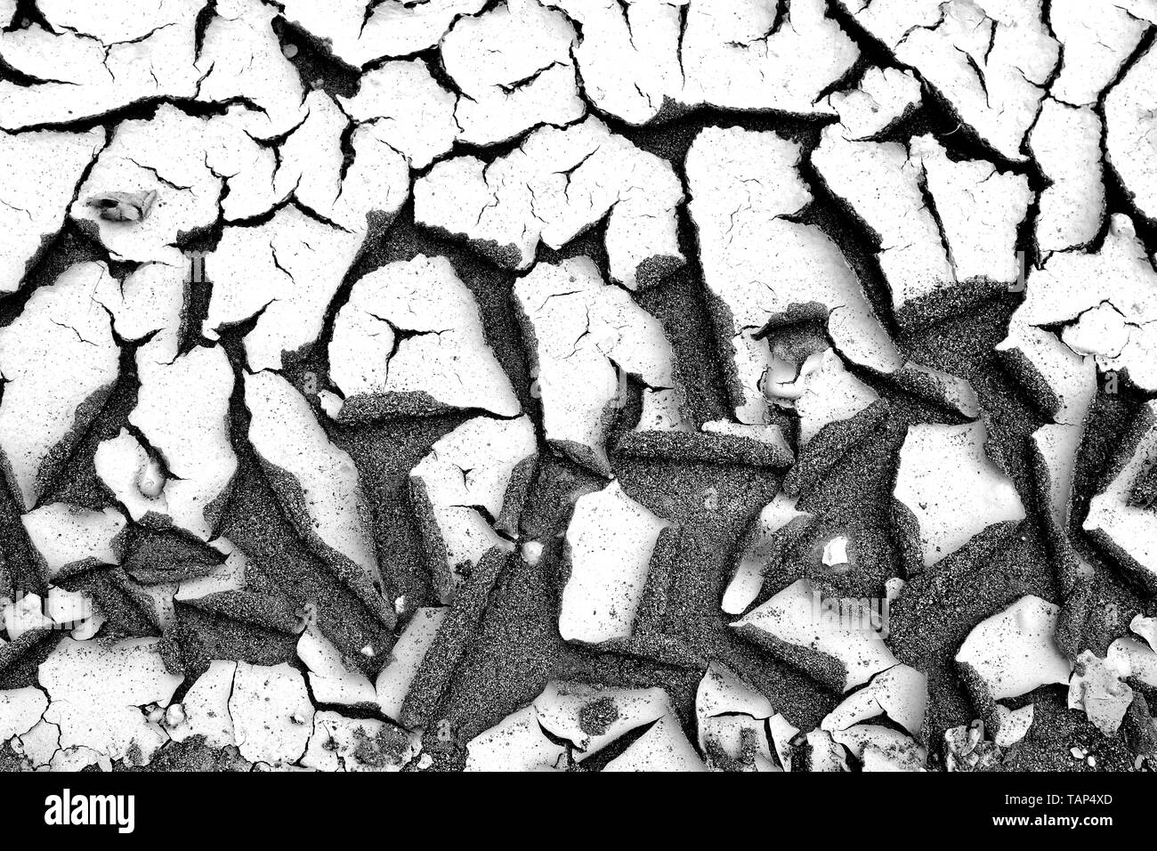 Cracked & Scorched Earth in black and white Stock Photo