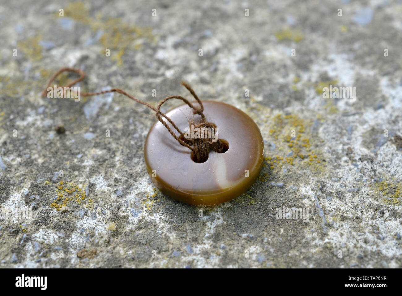 old brown sewing button image of a Stock Photo - Alamy