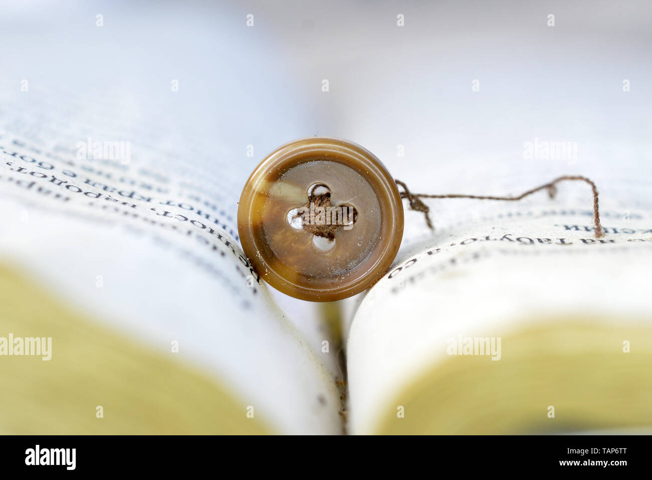 old brown sewing button image of a Stock Photo - Alamy