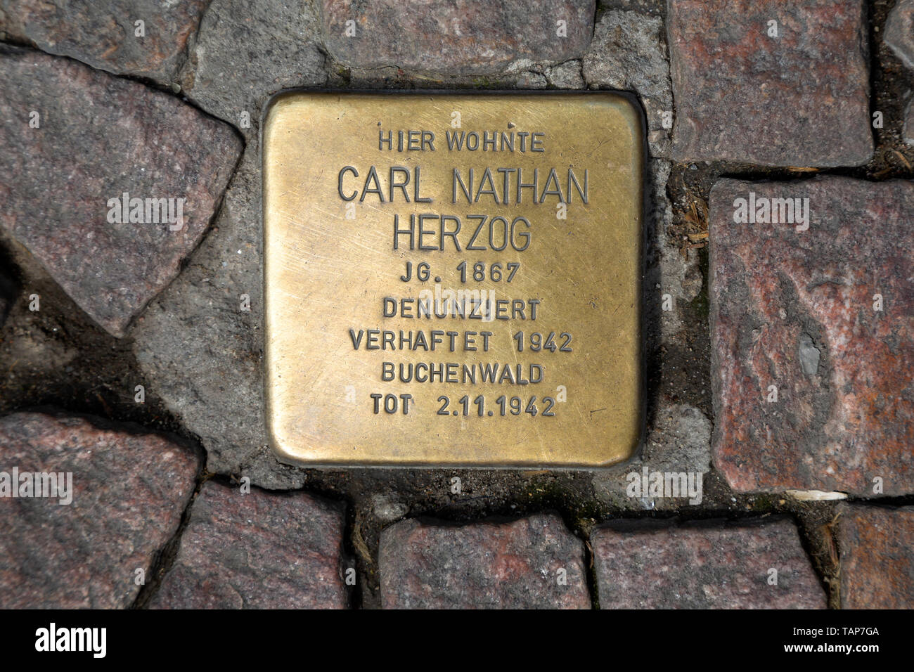 Stolperstein (stumbling stone) in Wiesbaden, the state capital of Hesse, Germany. Stock Photo