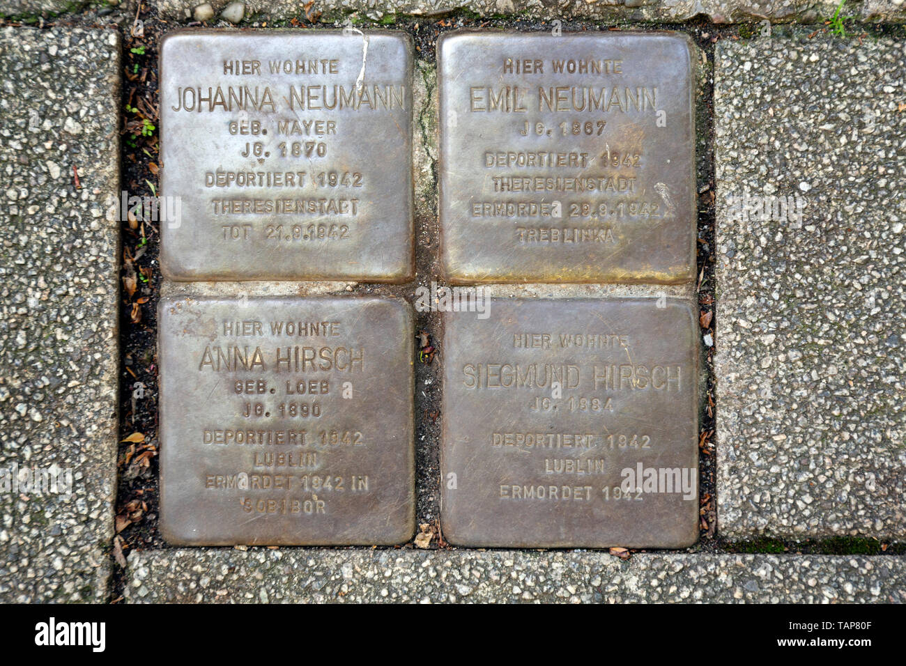 Stolpersteine (stumbling stones) in Wiesbaden, the state capital of Hesse, Germany. Stock Photo