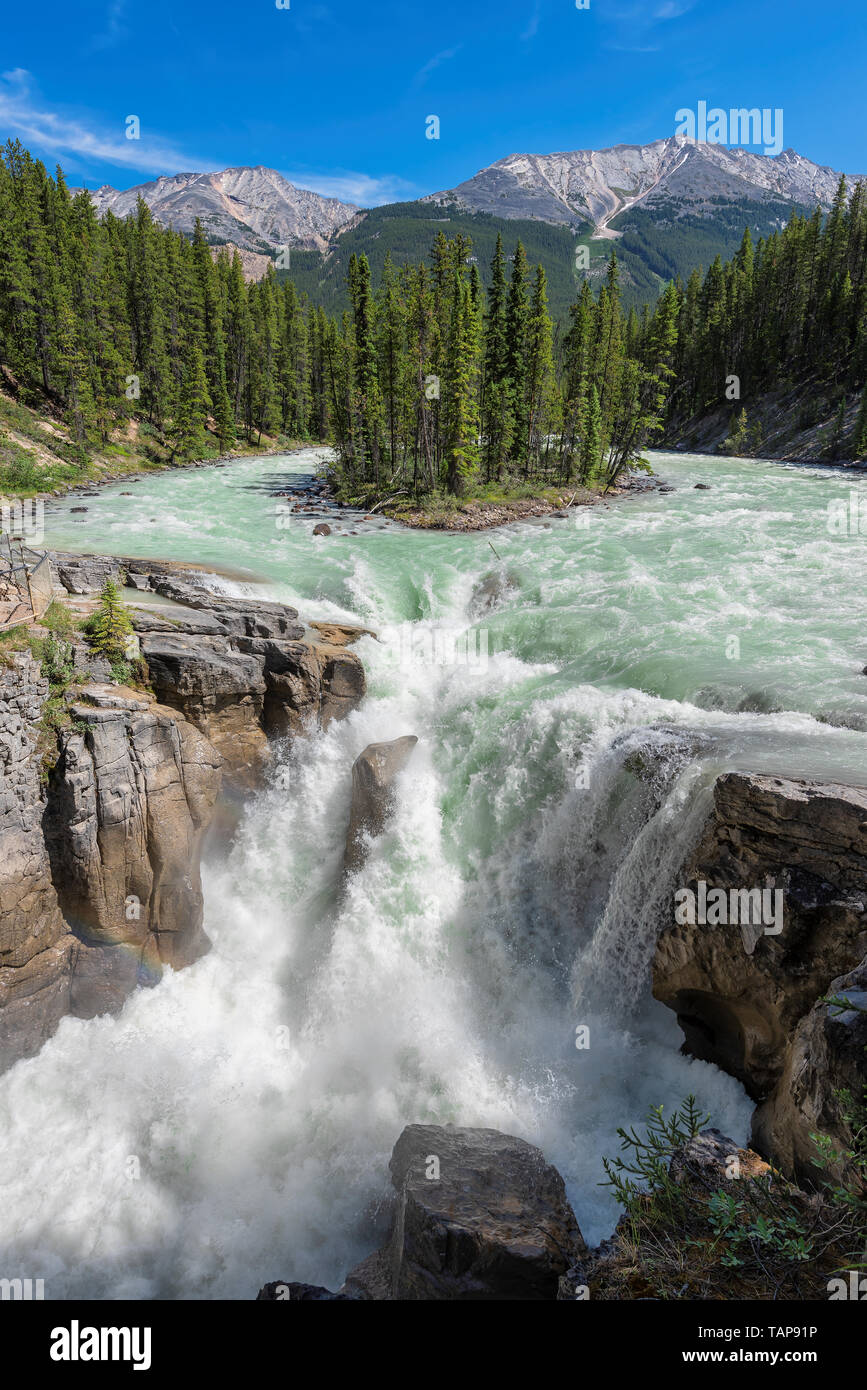 Upper Sunwapta Falls, Athabasca river in Jasper National Park, Canada. Stock Photo