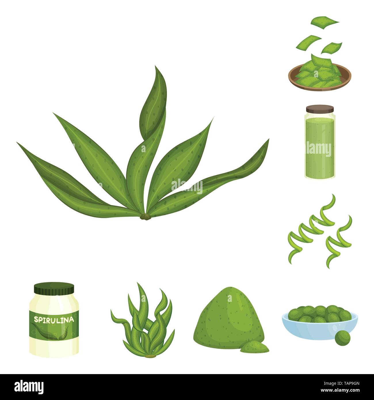 Isolated object of spirulina and seaweed logo. Set of spirulina and vegan stock symbol for web. Stock Vector