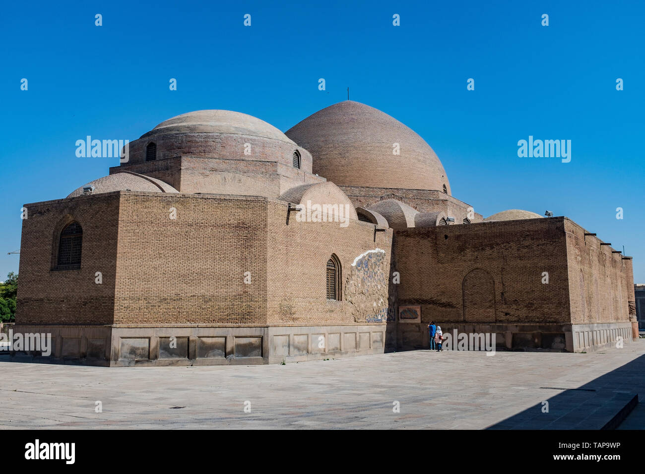 Qalin xoroz togri hd mushuk kirib keldi