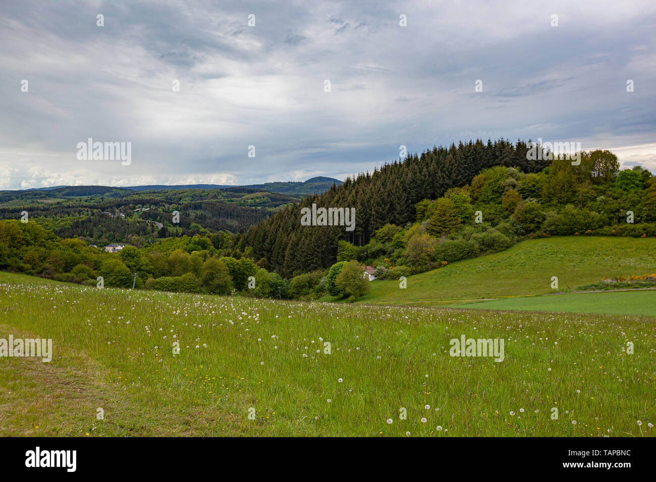 Landschaft in der Eifel, Deutschland, Rheinland-Pfalz, Landscape in the Eifel, Germany, Rhineland-Palatinate Stock Photo
