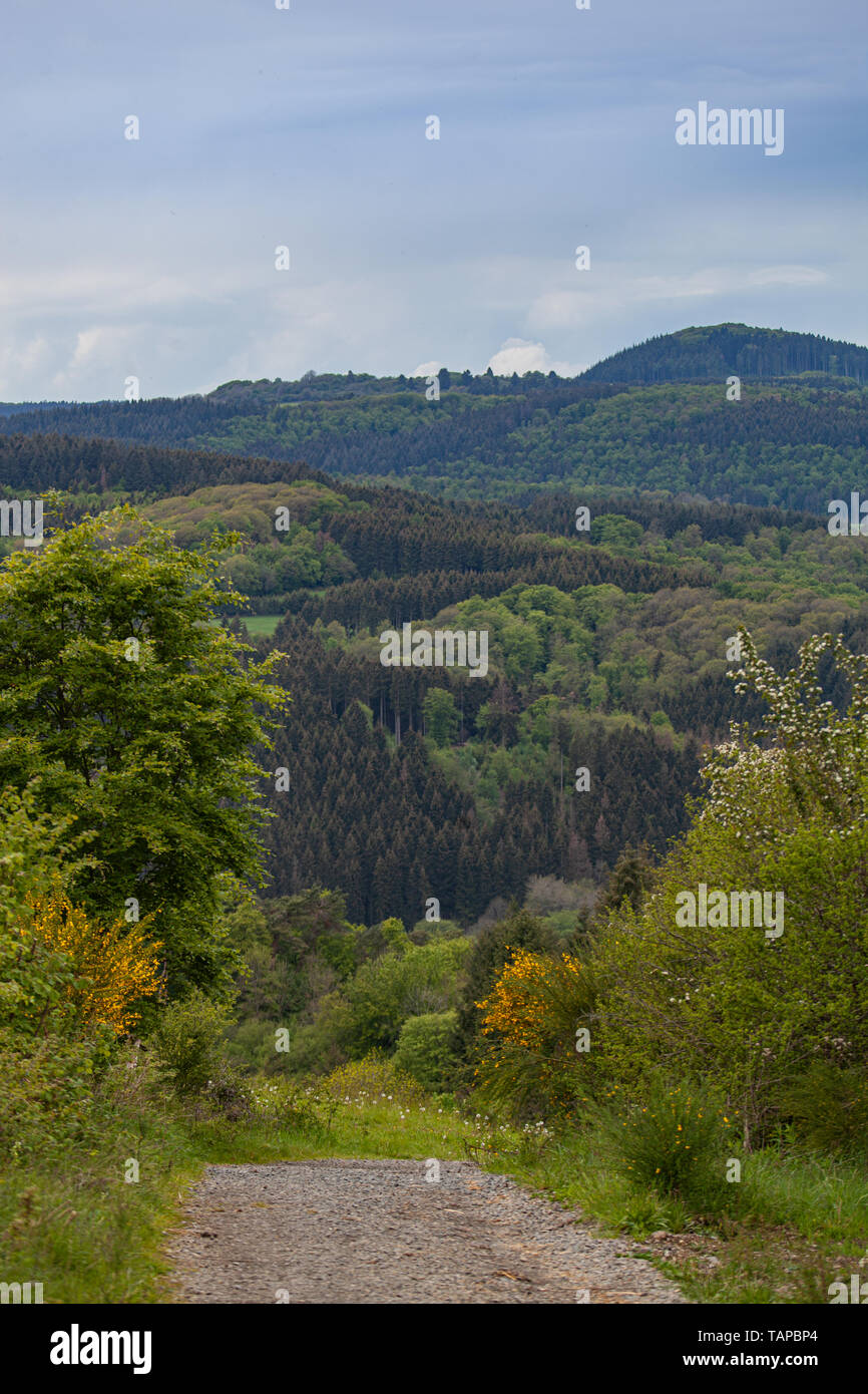 Landschaft in der Eifel, Deutschland, Rheinland-Pfalz, Landscape in the Eifel, Germany, Rhineland-Palatinate Stock Photo