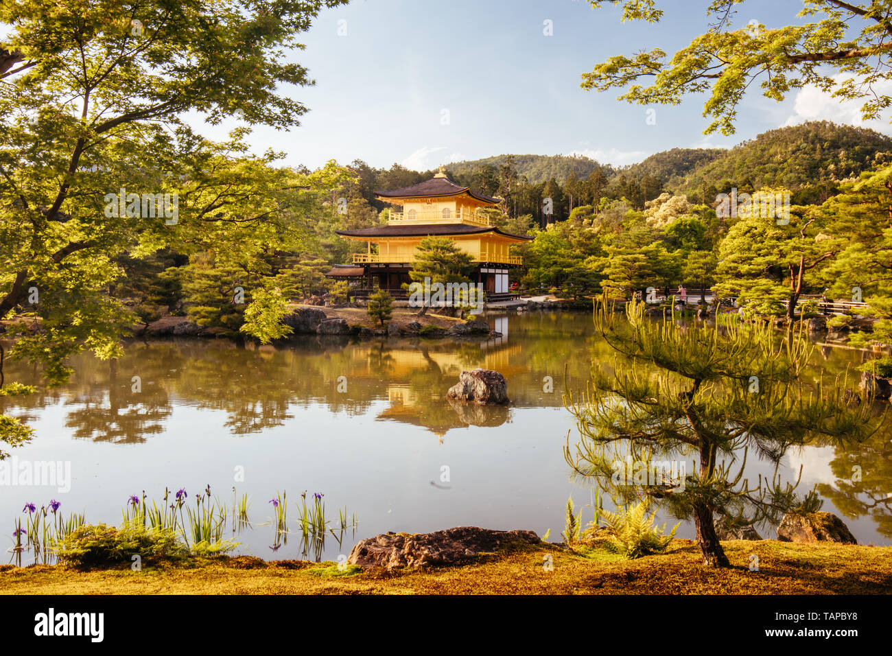 Kinkakuji Temple in Kyoto, Japan Stock Photo