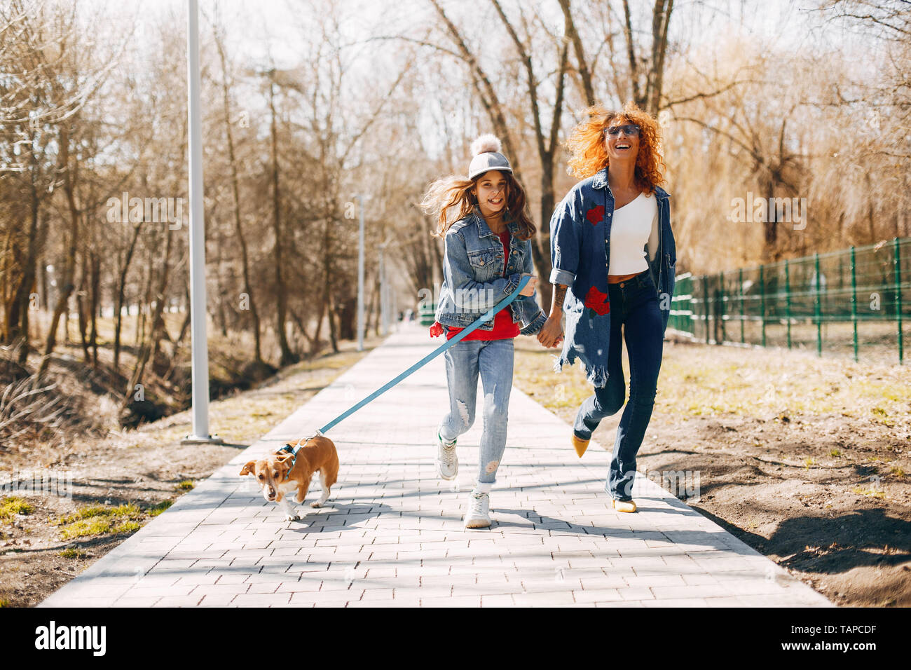 dog walking jacket ladies