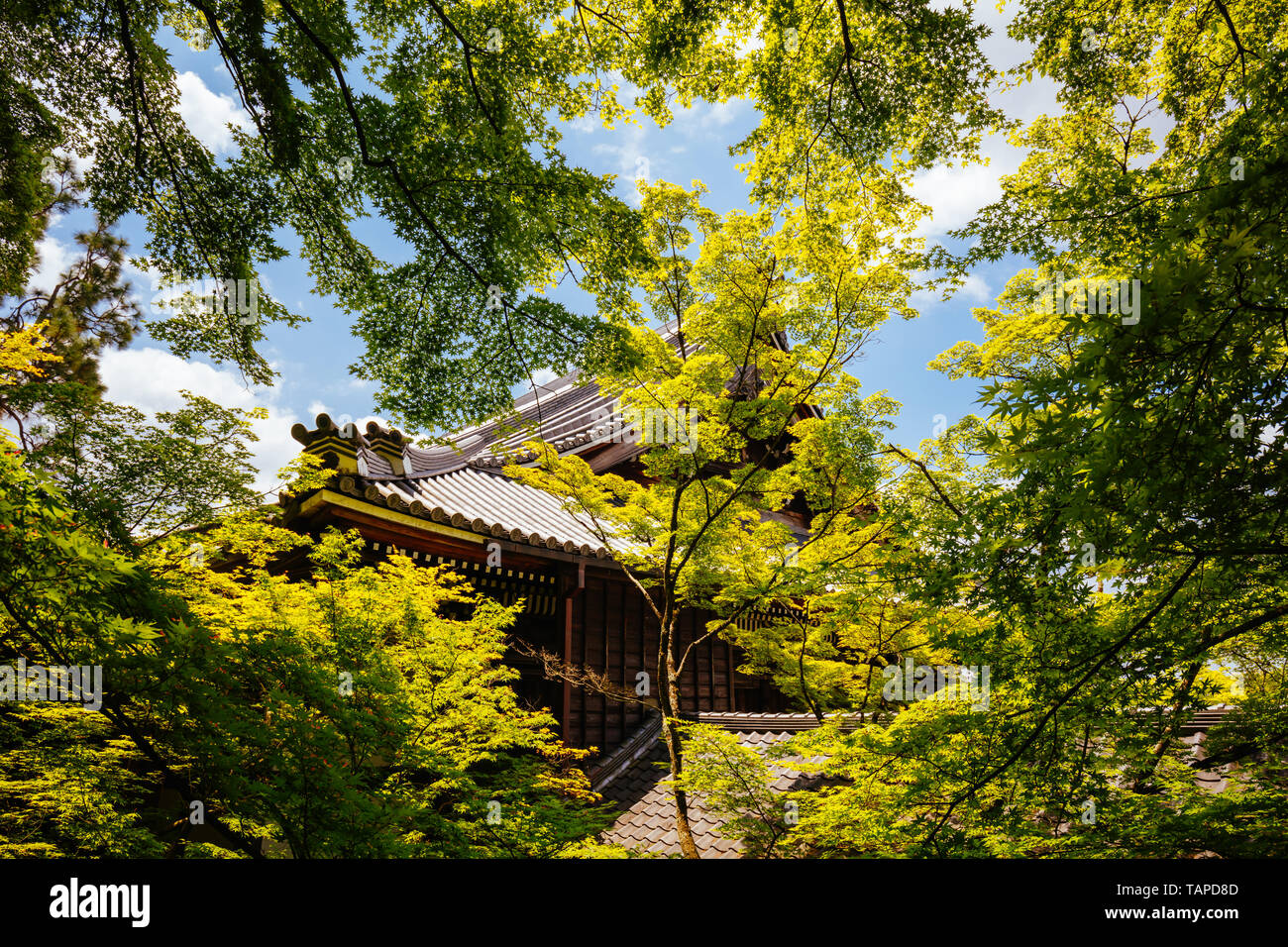 Eikando Temple in Kyoto Japan Stock Photo