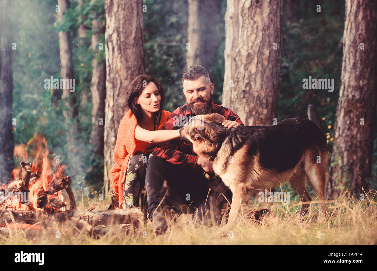 Hjælp Mælkehvid service Couple pat german shepherd dog near bonfire, nature background. Woman, man  and dog on vacation, hiking. Couple in love or young happy family spend  time together. Best friend concept Stock Photo -