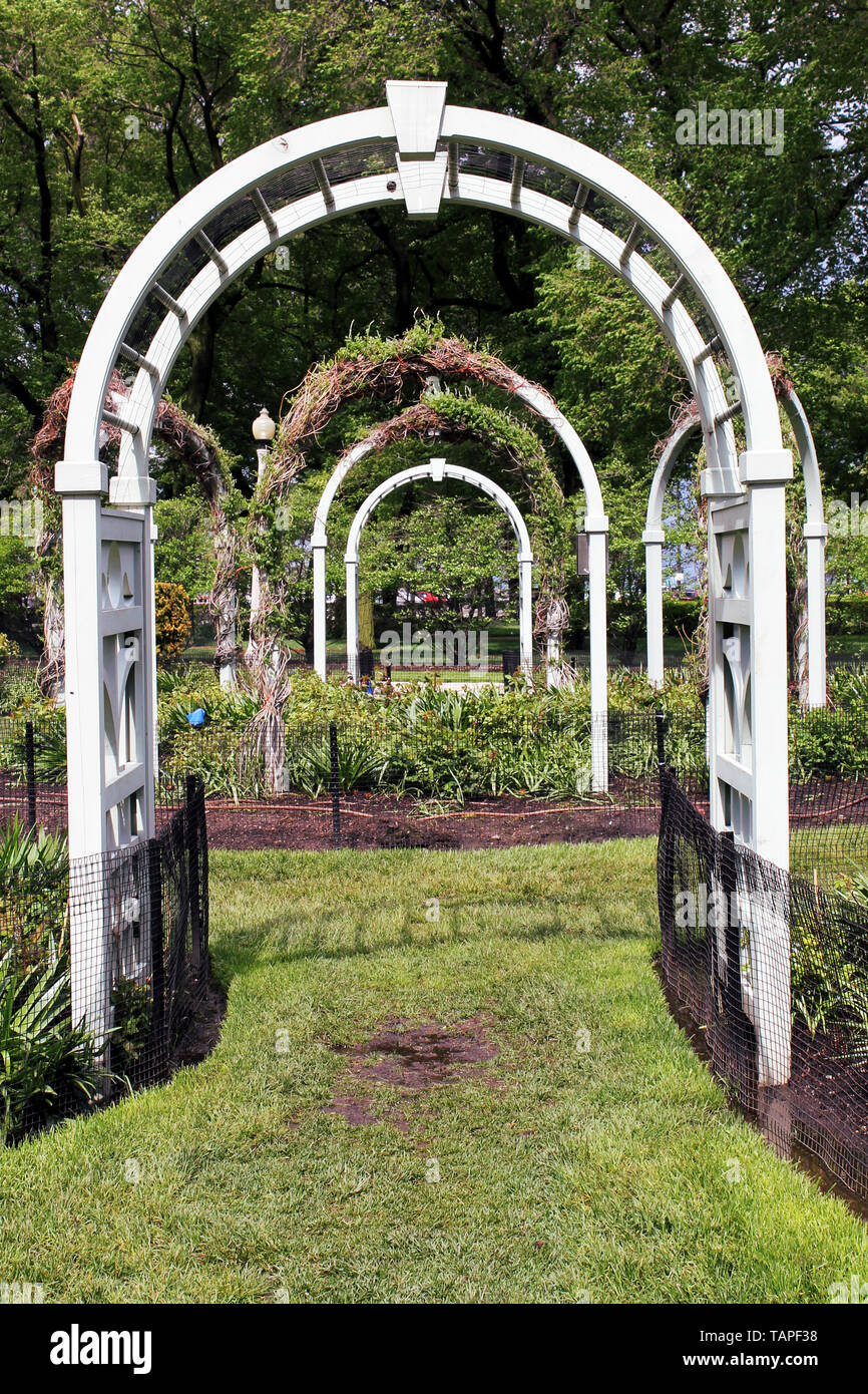 An arched trellis gateway to a garden in Grant Park, Chicago, Illinois, USA  Stock Photo - Alamy