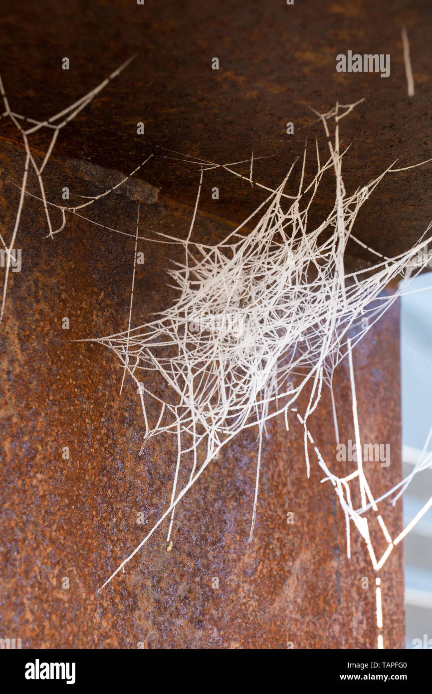 frost covered spider web attached to rusty metal Stock Photo