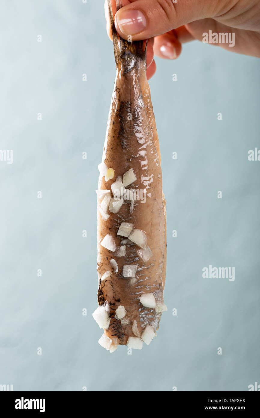 Traditional dutch food herring fish Stock Photo Alamy