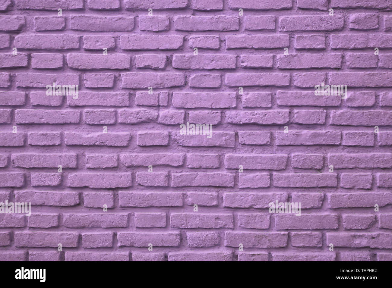 Purple Colored Old Brick Wall for Background or Banner Stock Photo