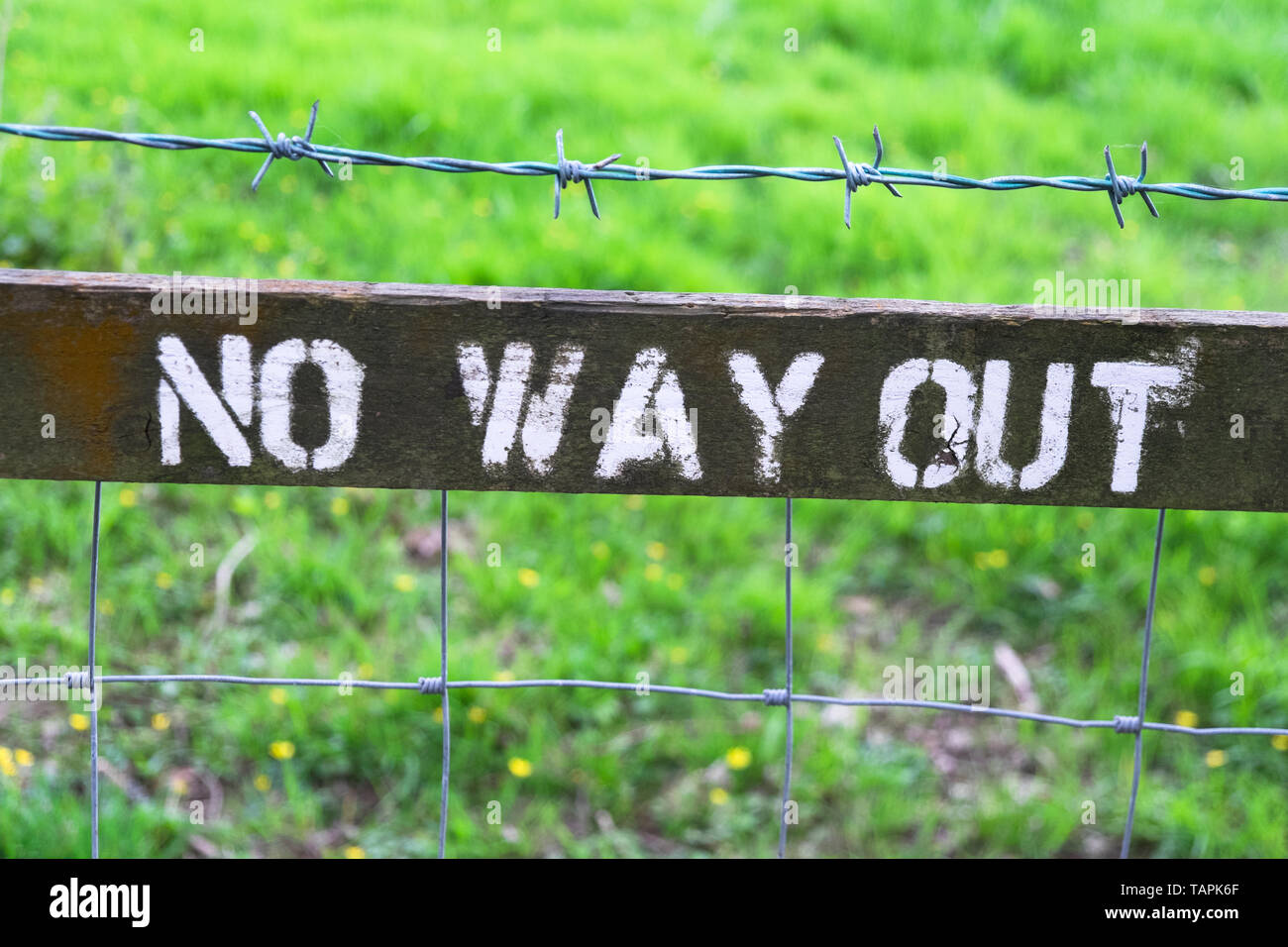 No way out sign Stock Photo