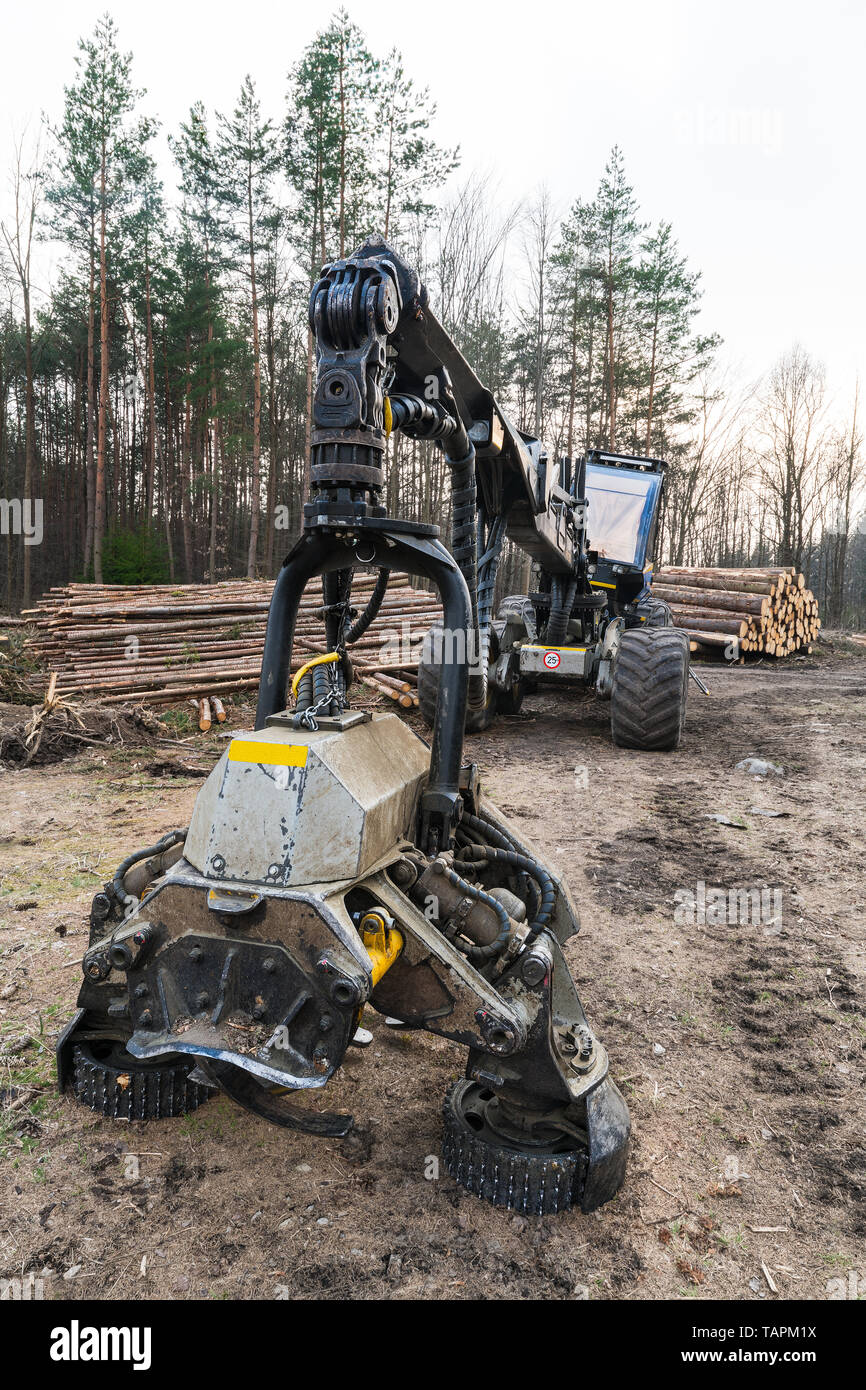Forestry harvester machine. Felling head detail. Logging in damaged woods. Hydraulic heavy vehicle and log stack. Bark beetle calamity. Deforestation. Stock Photo