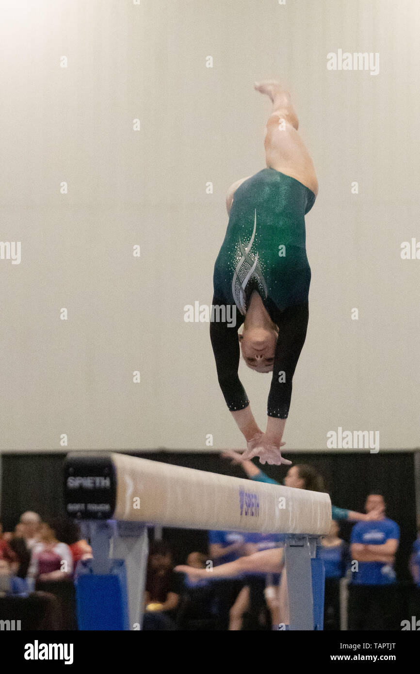 Ottawa, Canada. 24th May, 2019. Emily Walker (316) performs her beam