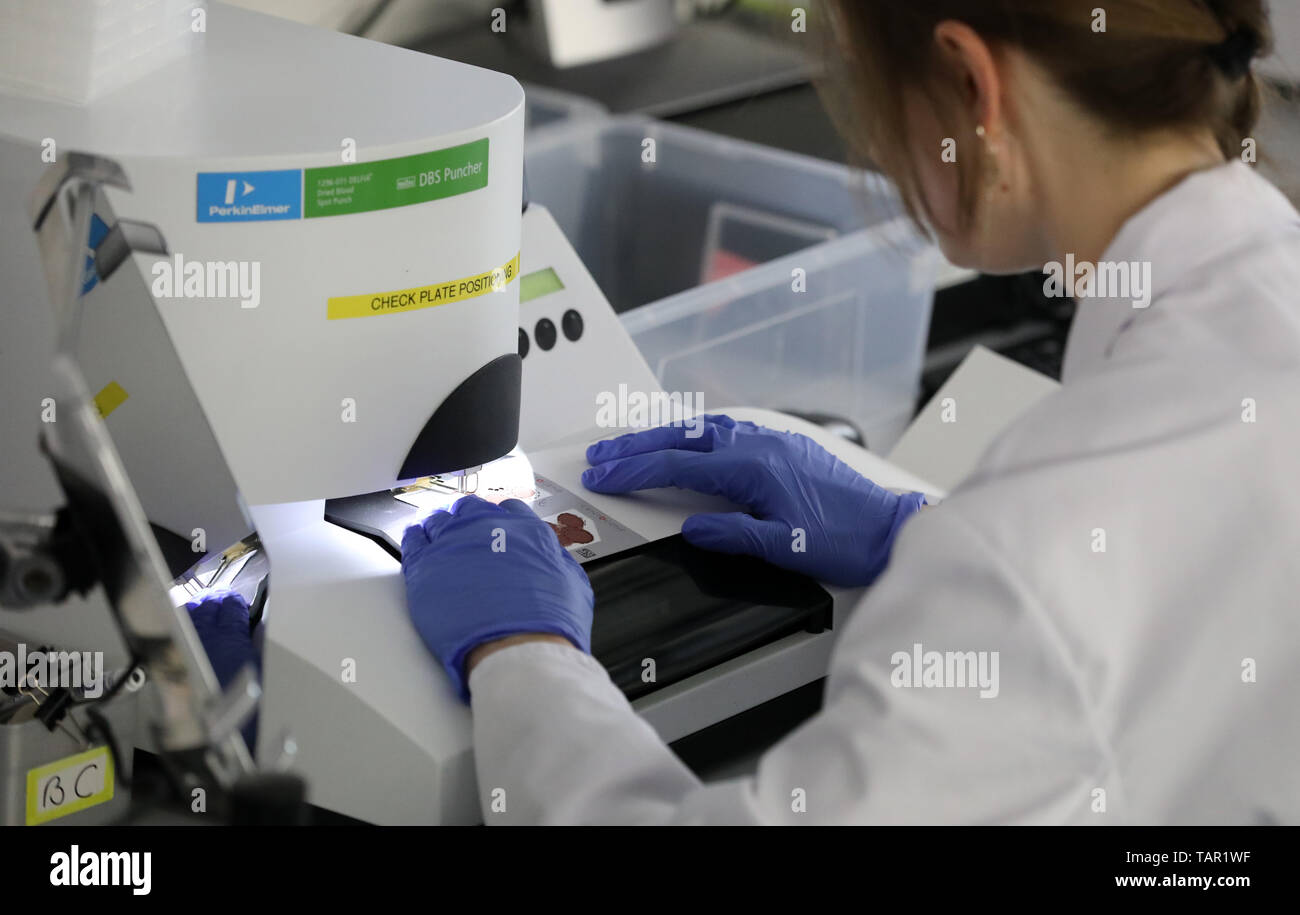 Centogene hi-res stock photography and images - Alamy