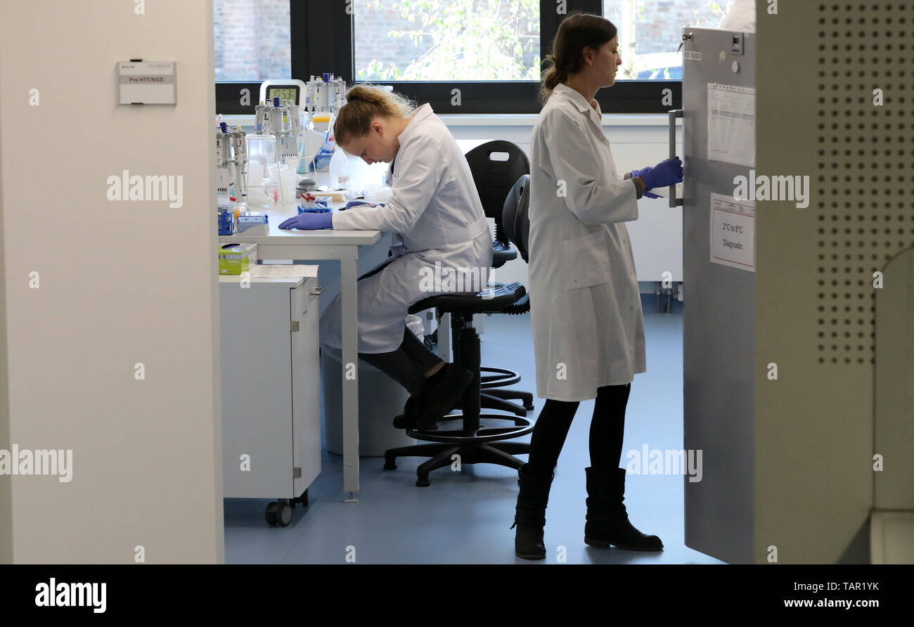 Centogene hi-res stock photography and images - Alamy